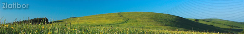 Zlatibor - Agencija adigraf, smestaj, apartmani, nekretnine