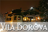 Vila borova