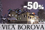 Vila borova