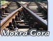 Mokra gora