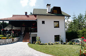 Vila Ana