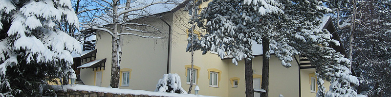 Vila Novak na Zlatiboru