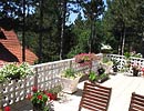 Apartman 33 na Zlatiboru
