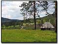 Nekretnine na Zlatiboru