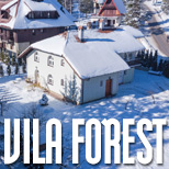 Vila Forest - apartmani na Zlatiboru