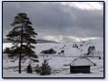 Zlatibor zimi