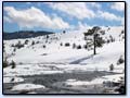 Zlatibor zimi